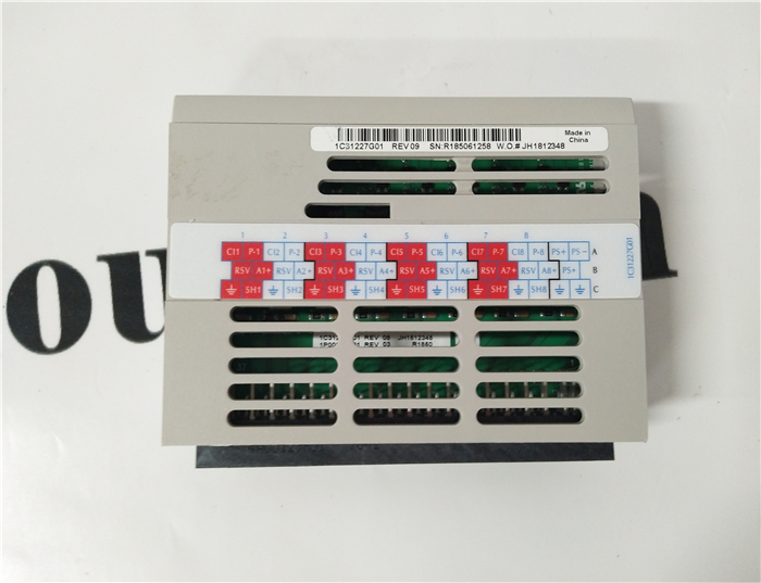 1C31113G02 1C31116G04 Emerson Ovation Analog Input (± 50mV w/temp. sensor) (13 bit) Channel8