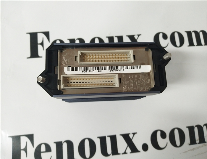 FOXBORO L0111UT  New Original Genuine Products with One Year Warranty