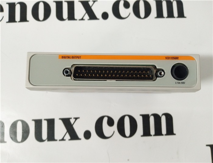 1C31232G02 5X00034G01 Emerson Digital Input (24/48 VAC/VDC Indiv. Fused) (Compact) Channel16
