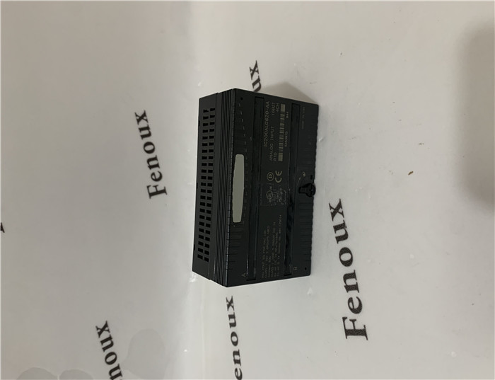 Emerson - IC200ALG322LY - VersaMax Low Temperature
