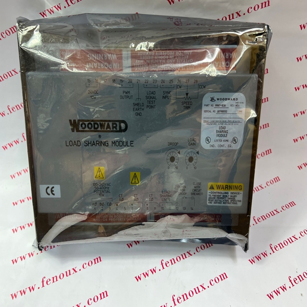 SPM-D1145B/LSXR   WOODWARD